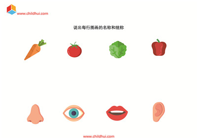 说出每行图画的名称和统称