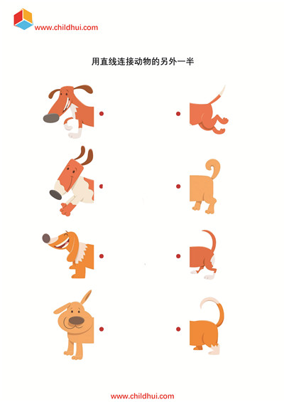 用直线连接动物的另外一半