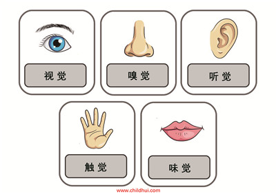 五感拼图