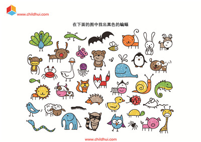 按照要求查找动物