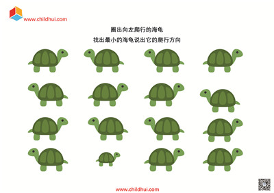 学习左右的概念