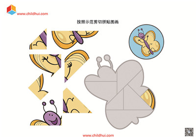 综合练习合集 - 昆虫