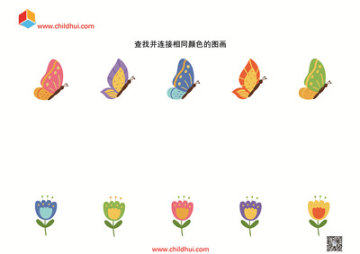 昆虫题材的综合练习