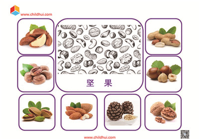 分类拼贴卡（共38页）