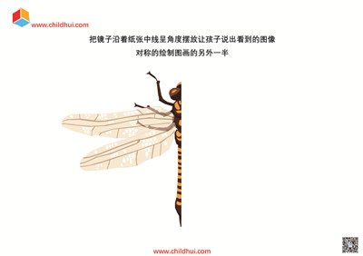对称与镜像练习（共38页）
