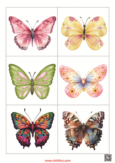 匹配卡 - 查找相同的蝴蝶（共15页）