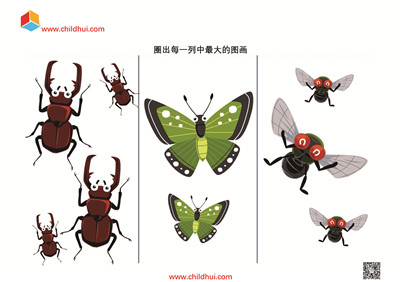 圈出每一列中最大的图画