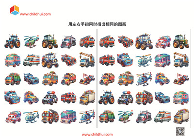 用左右手指同时指出相同的图画
