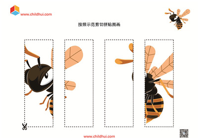 按照示范剪切拼贴图画