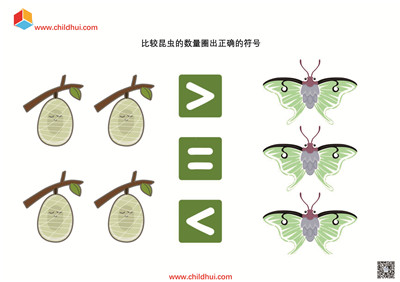 比较昆虫的数量圈出正确的符号