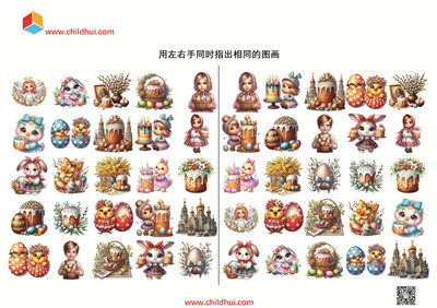 用左右手同时指出相同的图画