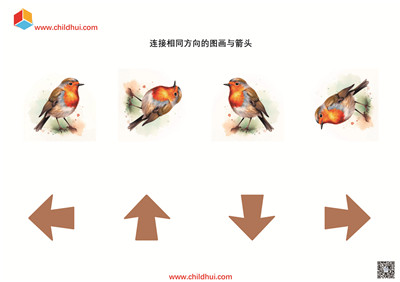 连接相同方向的图画与箭头
