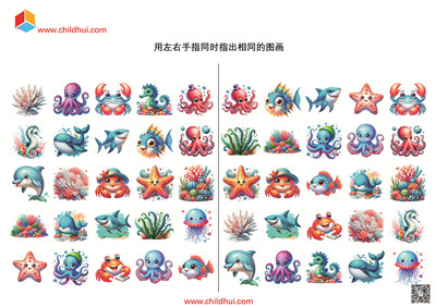 用左右手指同时指出相同的图画