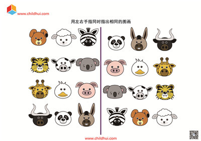 用左右手指同时指出相同的图画