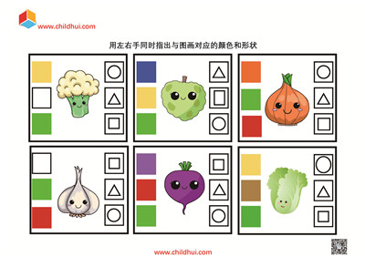 用左右手同时指出与图画对应的颜色和形状