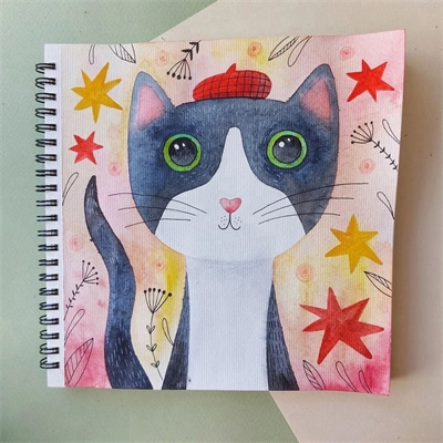 分步绘制小猫