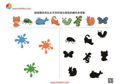用左右手同时指出图画的颜色和剪影