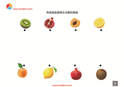 用直线连接相互关联的图画
