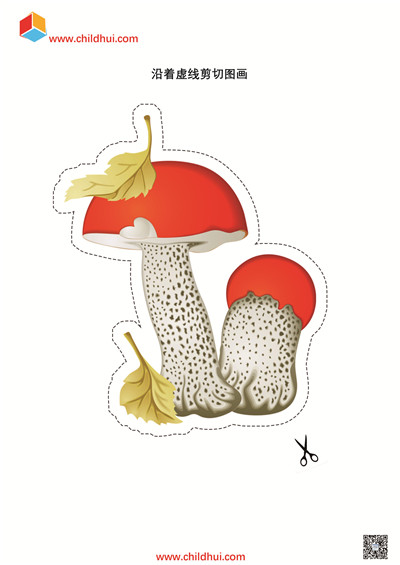 沿着虚线剪切图画