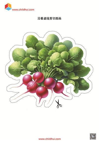 沿着虚线剪切图画
