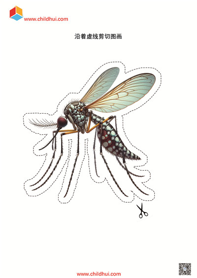 沿着虚线剪切图画