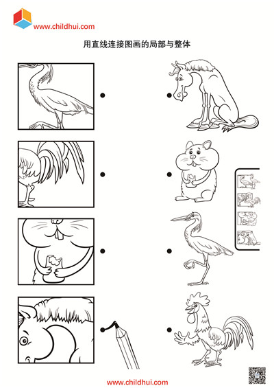 用直线连接图画的局部与整体